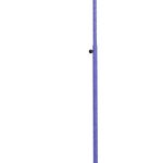 Club netball posts